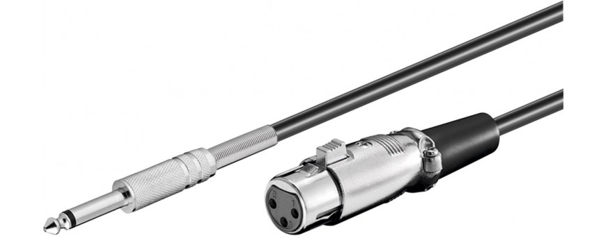 XLR