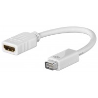 Adaptateur Mini DVI/HDMI™ 0.1 m