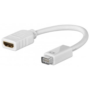 Adaptateur Mini DVI/HDMI™ 0.1 m