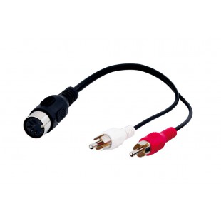 Câble adaptateur audio  prise femelle DIN vers prise mâle Cinch stéréo 0.2 m