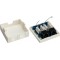 Boîtier de raccordement réseau 2 prise CAT 6, UTP, Blanc 2x prises femelles RJ45 (8P8C)