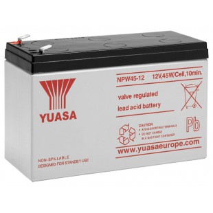 Batterie au plomb 12 V, 8,5 Ah (NPW45-12) 