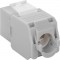 CAT 6A Keystone RJ45 jack, UTP, 500 MHz Gris clair