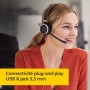 Jabra Evolve 40 MS Mono Casque audio - Casque certifié Microsoft pour VoIP Softphone avec annulation passive du bruit - Câble US