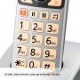 Panasonic KX -TGQ500GS argent-noir [Version Allemande]