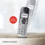 Panasonic KX -TGQ500GS argent-noir [Version Allemande]
