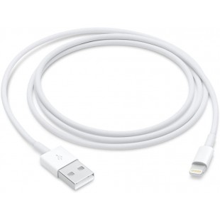 Apple Cble Lightning vers USB (1 m)