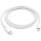 Apple Cble USB-C vers Lightning (1 m)