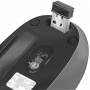 LogiLink ID0069 Souris optique sans fil 2,4 GHz 1000 dpi Noir