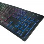 LogiLink ID0138 USB Allemand Noir Clavier - Claviers (Standard, avec Fil, USB, Clavier à Membrane, LED, Noir)