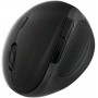 LogiLink id0139 Ergonomique Souris sans Fil, 2,4 GHz, 1600 DPI Noir