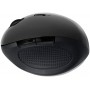 LogiLink id0139 Ergonomique Souris sans Fil, 2,4 GHz, 1600 DPI Noir