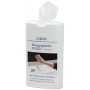 LogiLink RP0010 Pack de 100 Lingettes nettoyants pour Ecran TFT/LCD 85 x 120 mm