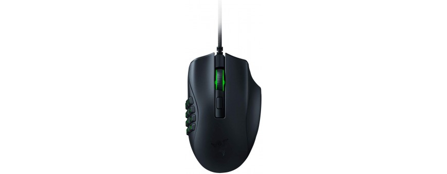 Souris