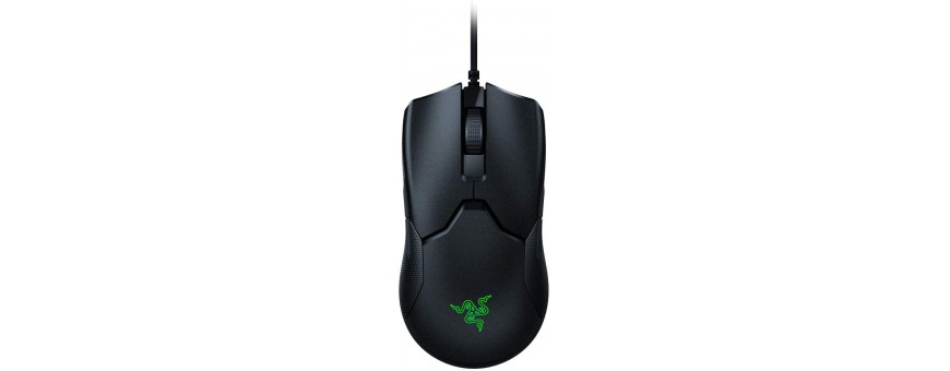Souris