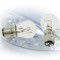MICHELIN 008781 2 Ampoules P21 / 5W 12 V - Veilleuses, Feu stop, Brouillard arrière