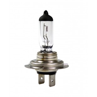 ampoule pure light 1 h7 12v 55w