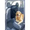 ANIMALS&CAR 170002 Séparation de voiture pop-up pour chien/animaux