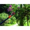 Garten Primus 01410 Secateur telescopique pour Rosier, Noir/Orange, 137,5 x 9 x 3,1 cm
