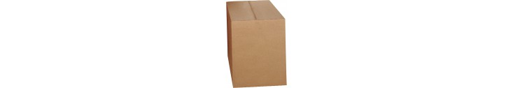 Accessoires: Poubelles