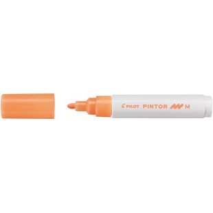 Feutre Peinture Pintor de Pilot - Pointe Moyenne - Plusieurs coloris disponibles