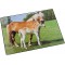 Laufer 46587 sous-Main antiderapant pour Enfant Motif Cheval et Poulain 53 x 40 cm avec Poche laterale Transparente