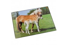 Laufer 46587 sous-Main antiderapant pour Enfant Motif Cheval et Poulain 53 x 40 cm avec Poche laterale Transparente