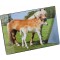 Laufer 46587 sous-Main antiderapant pour Enfant Motif Cheval et Poulain 53 x 40 cm avec Poche laterale Transparente