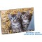 Laufer Sous-main de motif Katzen im Stroh