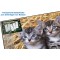 Laufer Sous-main de motif Katzen im Stroh