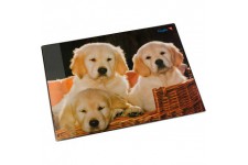 Laufer Sous-main de motif Chiens