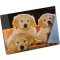 Laufer Sous-main de motif Chiens