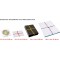 Laufer 69582 bracelets elastiques X Rondella, bandes elastiques croisees, elastiques tailles assortis, diametre 50-100 mm, boite