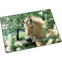 Uhu 46640.4 Tapis de bureau Motif cheval 40 x 53 cm