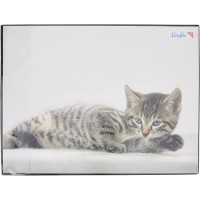 Laufer Sous-main de motif Katze grau