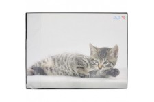 Laufer Sous-main de motif Katze grau
