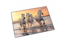 Laufer 46656 Sous-main antiderapant pour enfant Motif chevaux sur la plage 53 x 40 cm Avec poche laterale transparente