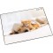 Laufer 46657 Sous-main antiderapant pour enfant Motif chien et chat 53 x 40 cm Avec poche laterale transparente