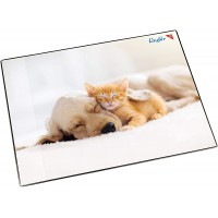 Laufer 46657 Sous-main antiderapant pour enfant Motif chien et chat 53 x 40 cm Avec poche laterale transparente