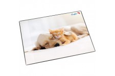Laufer 46657 Sous-main antiderapant pour enfant Motif chien et chat 53 x 40 cm Avec poche laterale transparente