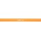 BIC 16464 Stylo-bille ecriture extra fine 0,3 mm encre classique bille indeformable capuchon encre
