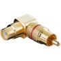 Adaptateur audio RCA male / RCA femelle plaqué OR bague rouge