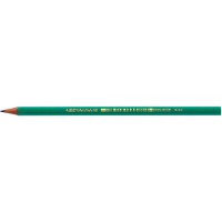 Bic 11003 Evolution Crayon graphite Hexagonal HB corps resine synthese resiste mordillage