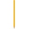 BIC Kids Evolution ECOlutions Crayons de Couleur - Coloris Assortis, Classpack de 144