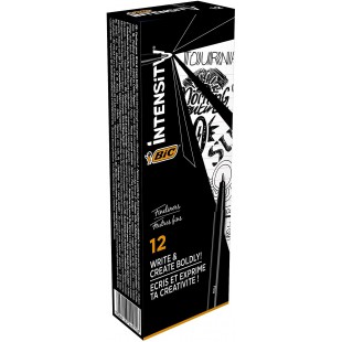 BIC Intensity Feutres d'ecriture, Pointe Fine (0,4 mm), Ideal Pour Ecrire Et Dessiner, Couleur Noire, Boite de 12