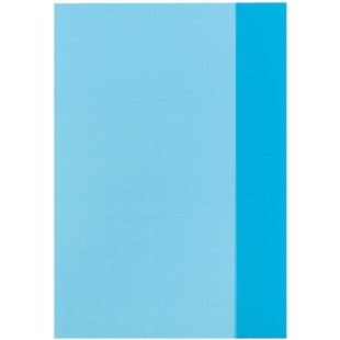 Lot de 25 : 5214044 Protege-cahier Bleu