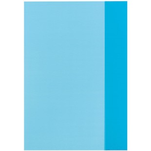 Lot de 25 : 5214044 Protege-cahier Bleu