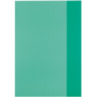 Lot de 25 : 5214051 Protege-cahier Vert