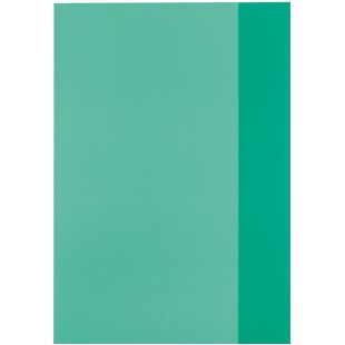 Lot de 25 : 5214051 Protege-cahier Vert