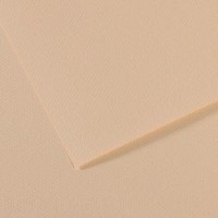 Lot de 10 : Feuille Mi-Teintes® 50x65 160g/m², coloris coquille 112